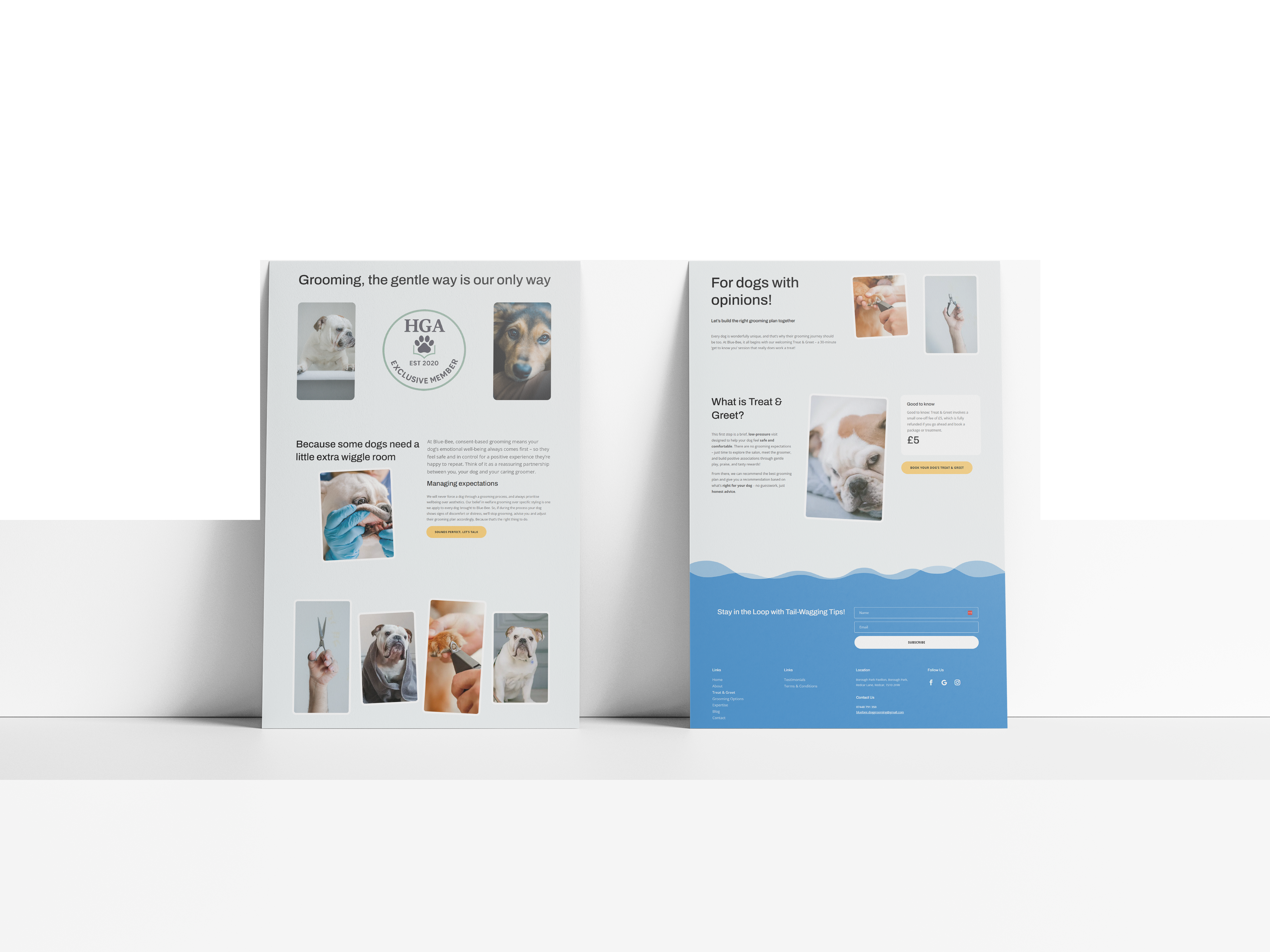 Blue Bee Dog Grooming Website Design | John Corner