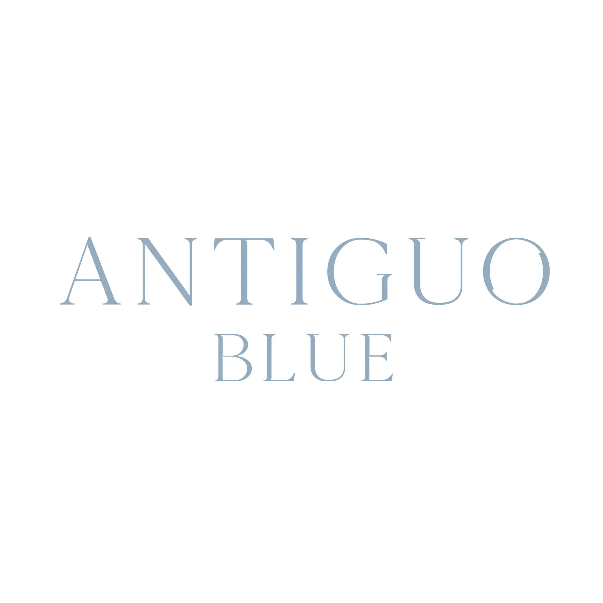 Antiguo Blue Web Development, SEO, E-commerce, and Branding Overview Antiguo Blue Web Development, SEO, E-commerce, and Branding Overview